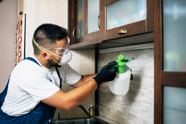 Best Pest Inspection Near Me  in Arlington Heights, IL