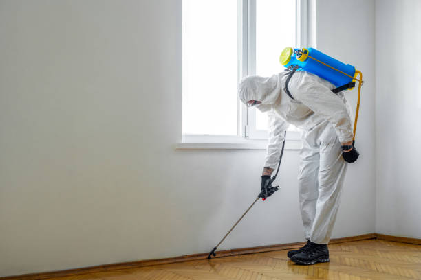 Best Spider Control Near Me  in Arlington Heights, IL