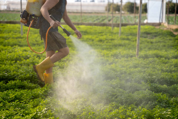 Best Commercial Pest Control Services  in Arlington Heights, IL