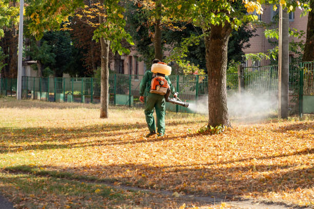Best Spider Control Near Me  in Arlington Heights, IL