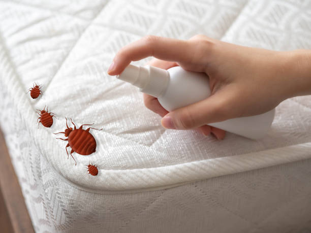 Insect Control in Arlington Heights, IL
