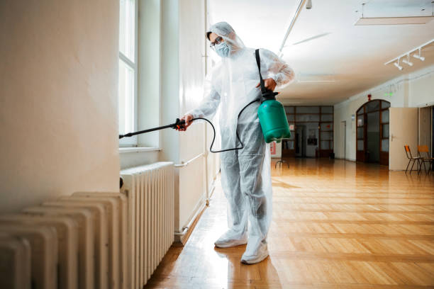 Best Termite Control Services  in Arlington Heights, IL