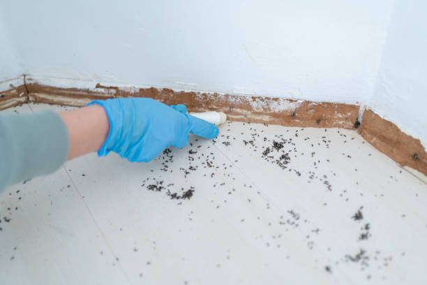 Best Pest Inspection Near Me  in Arlington Heights, IL