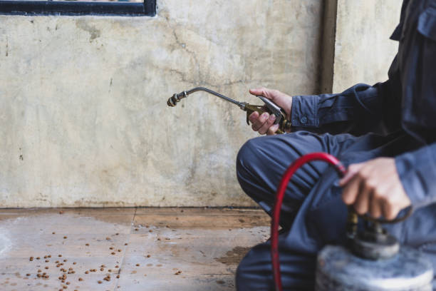 Best Flea Control Services  in Arlington Heights, IL